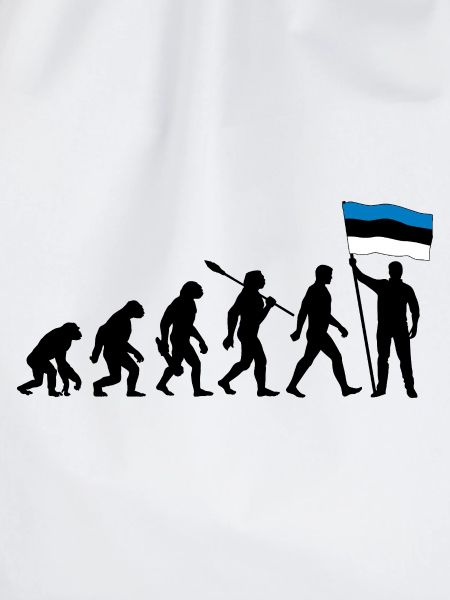 Estland - Evolution - Flagge - Nation