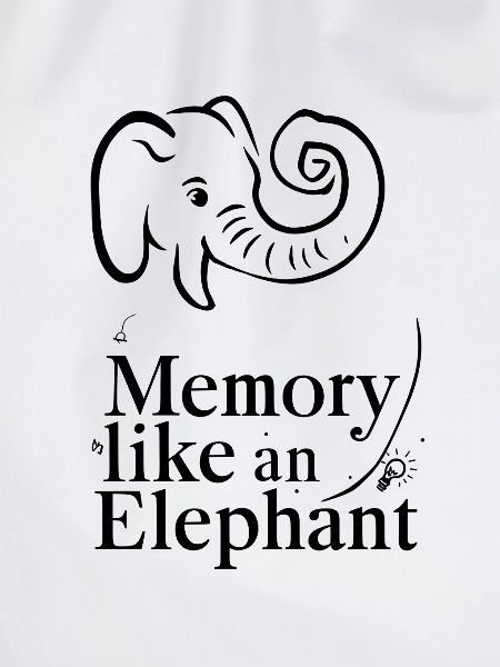 Memory Like an Elephant