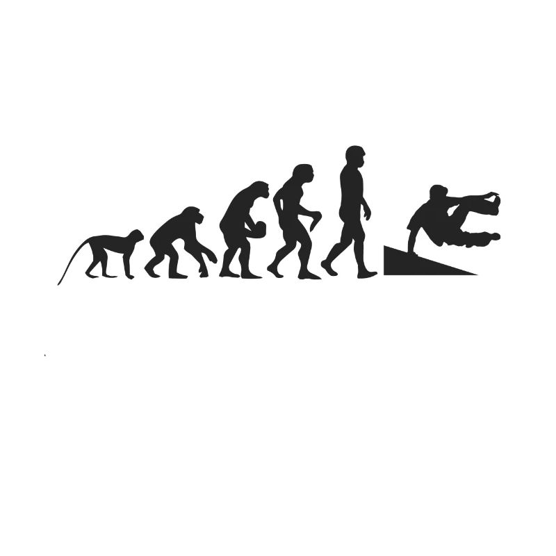Inliner evolution