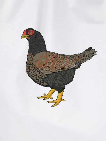 Indischer Kämpfer