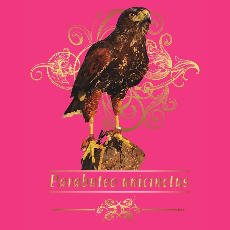 Reddish-reddish hawk