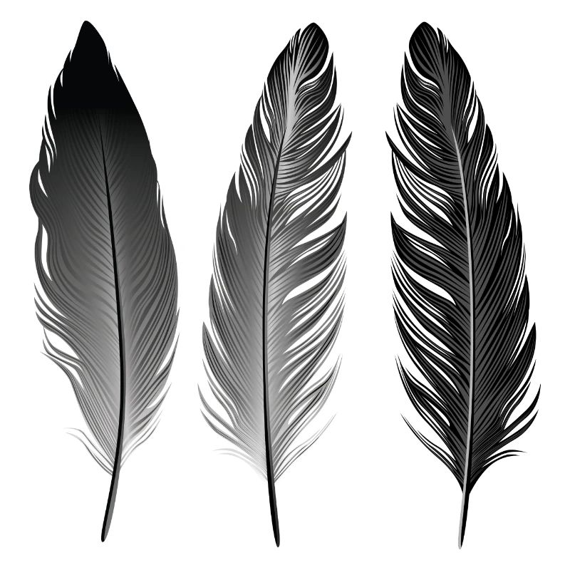 Boho | Feather Style | Illustration