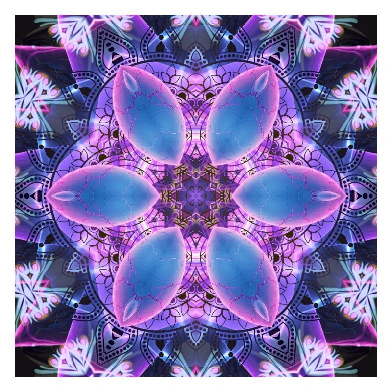 Neon Lotus Kaleidoscope