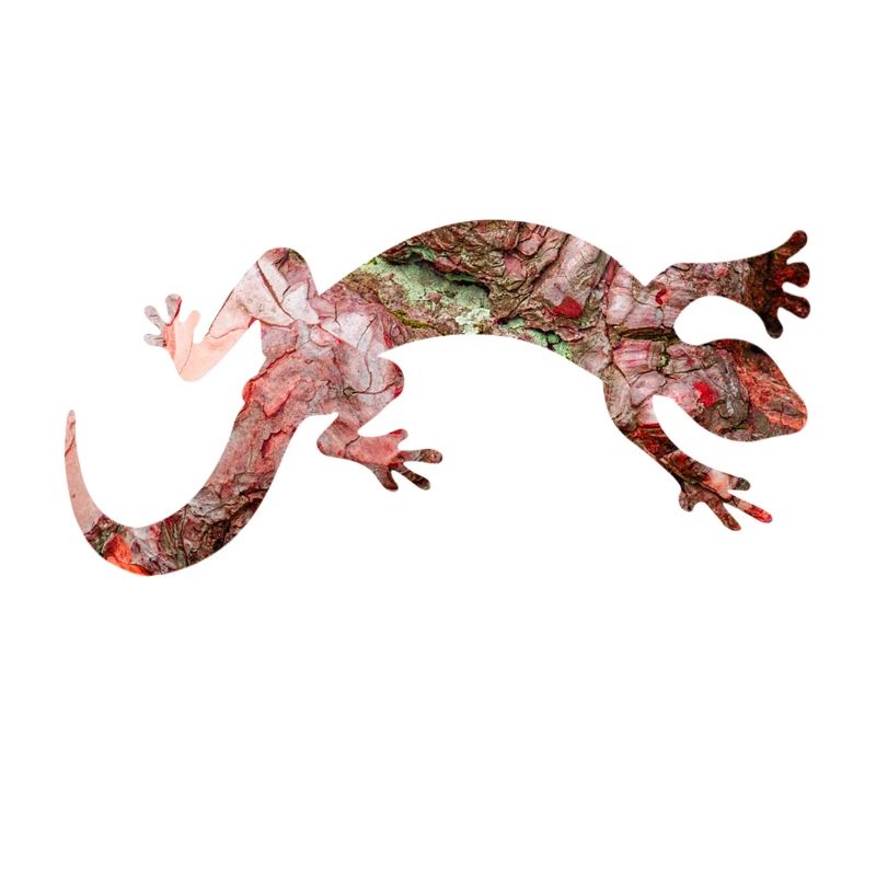 Rote Eidechse Reptil