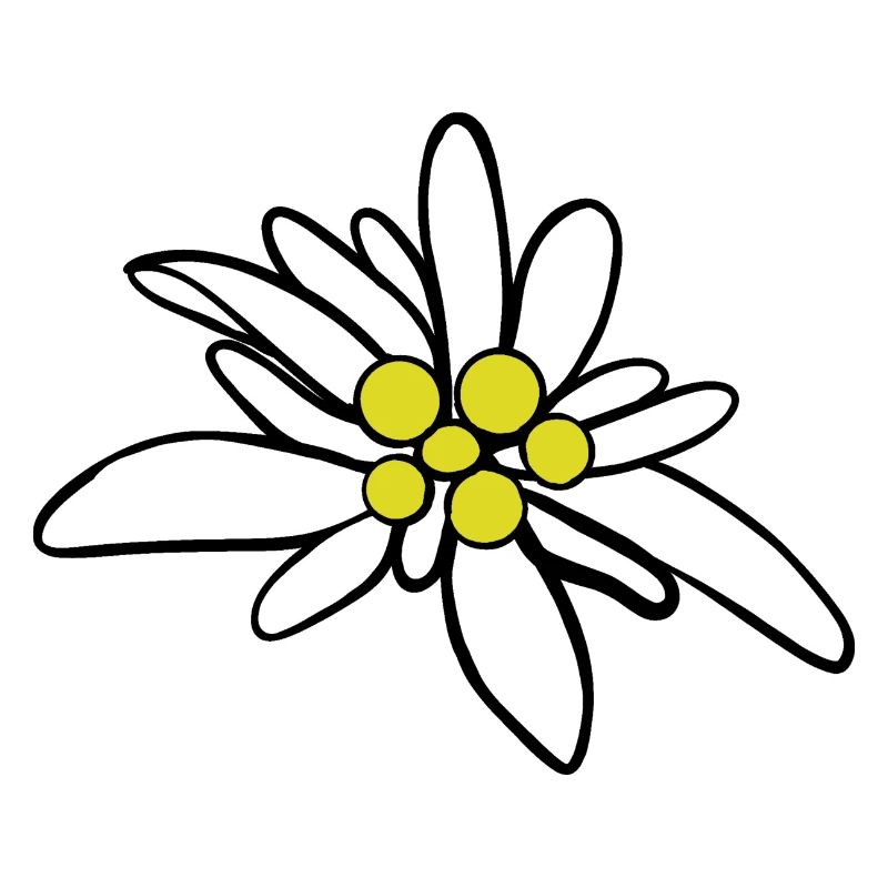 Edelweiß 1