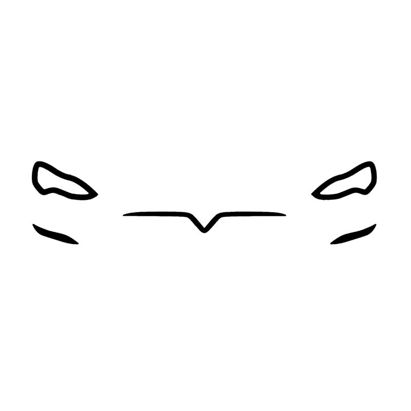 Model S Face Dark