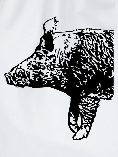 Wild Boar