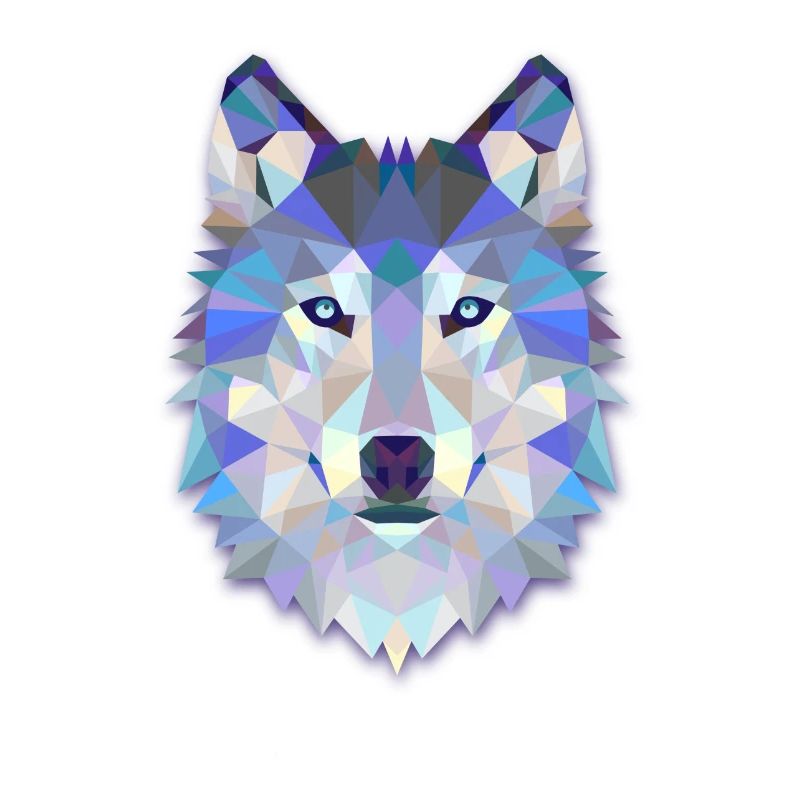 Wolf - Wolf