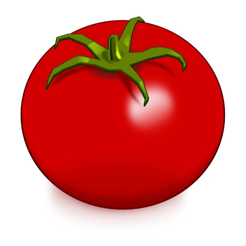 Tomate