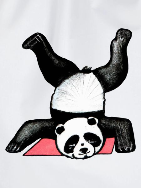 Panda Akrobat auf Matte