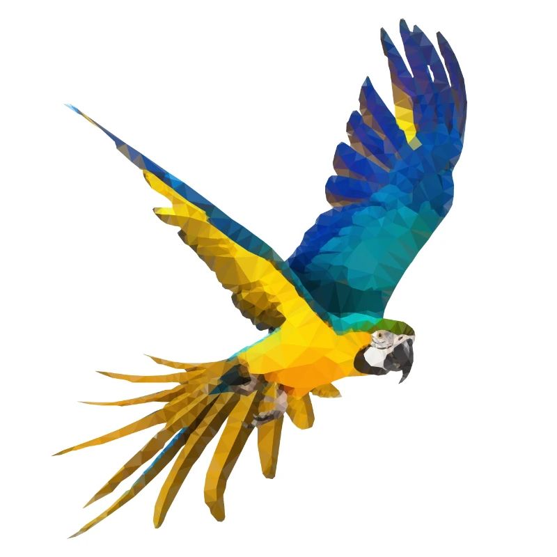 Blaugelber Ara low poly