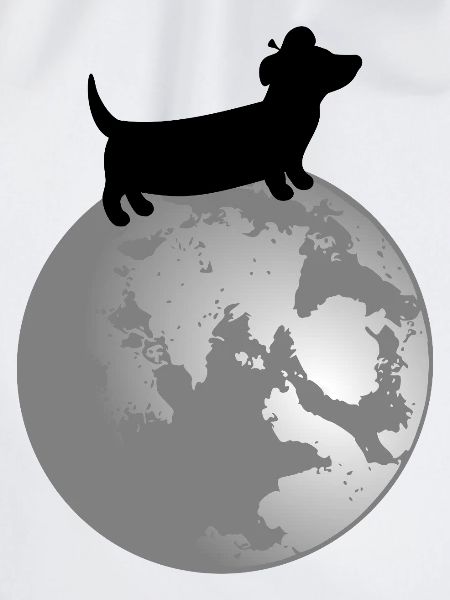 Dachshund Dogs Moon