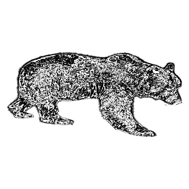 Bär