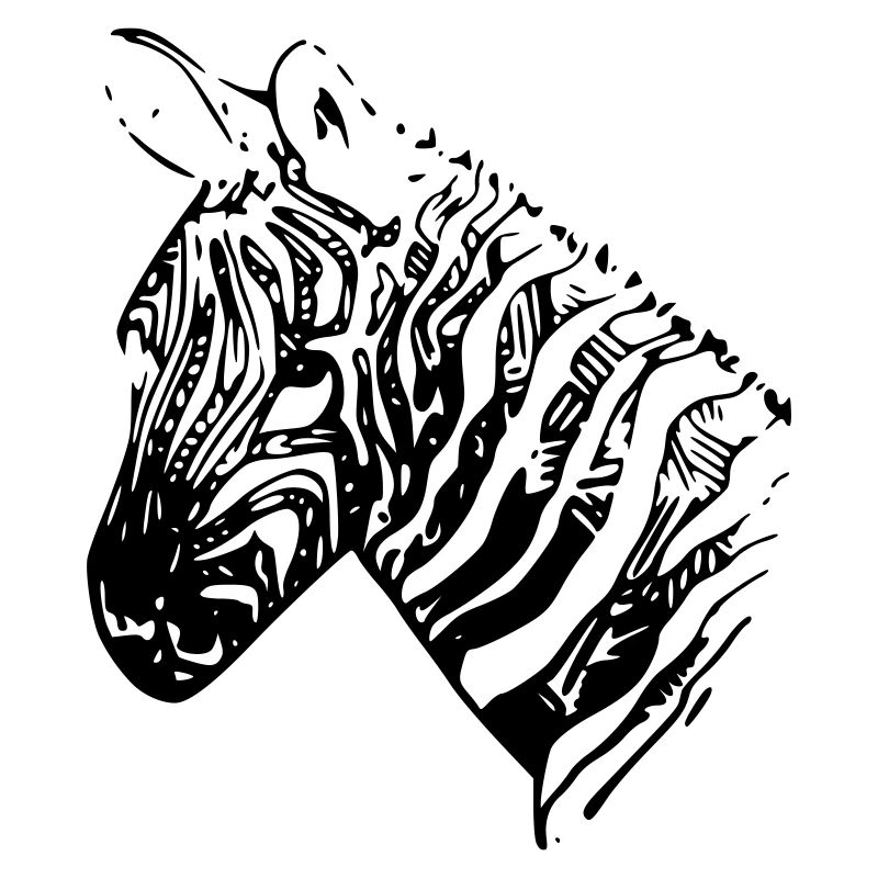 zebra head black white