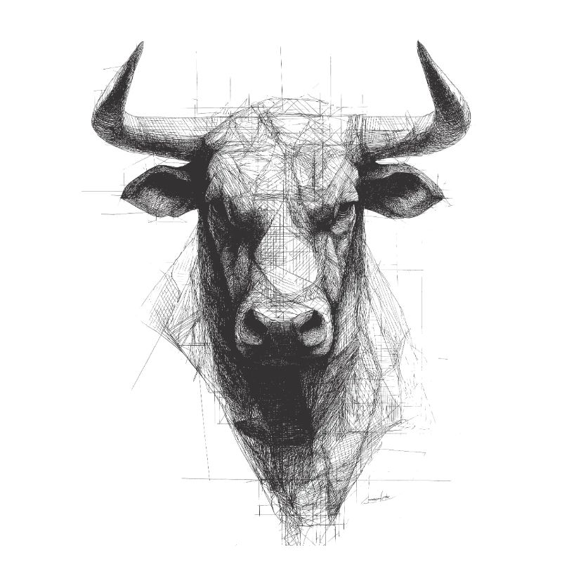Bull Head Silhouette Graphic