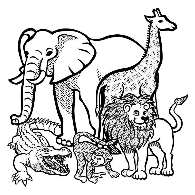 zoo