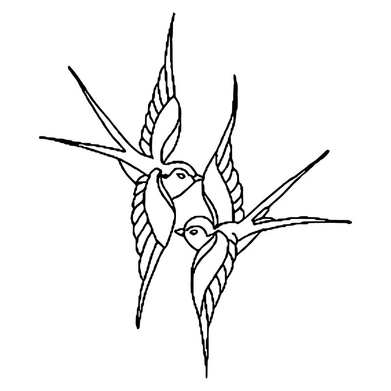 birds