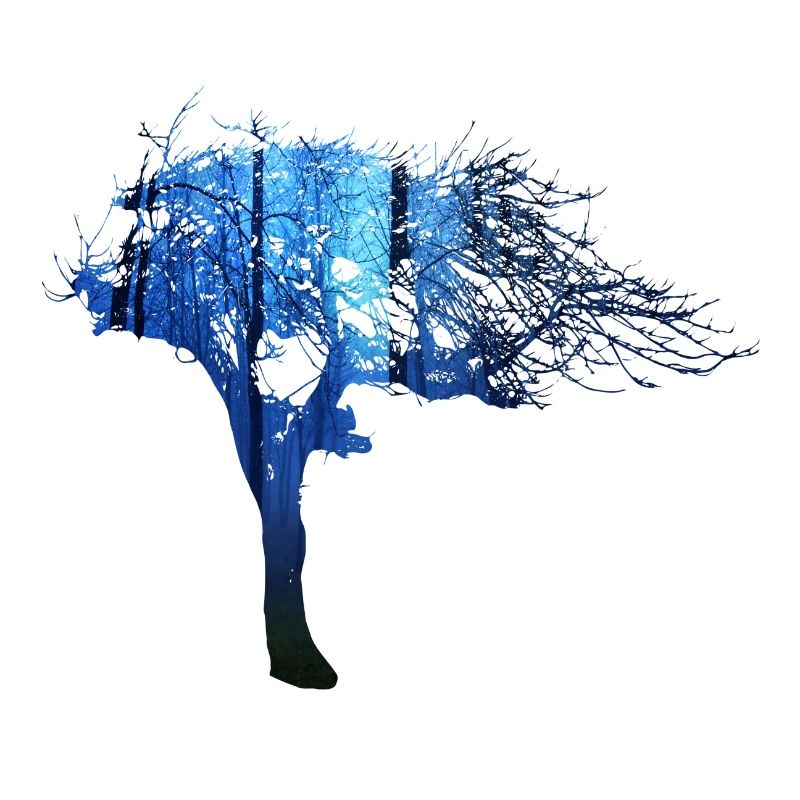 Fraktale & Regenbogen, Nerd Geschenk, Baum & bunt