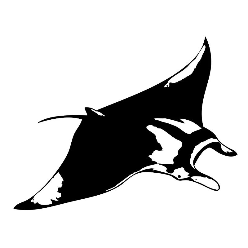 Mantarochen 2