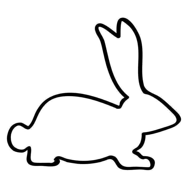 rabbit