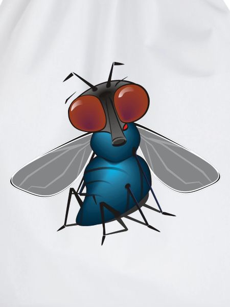 fliege