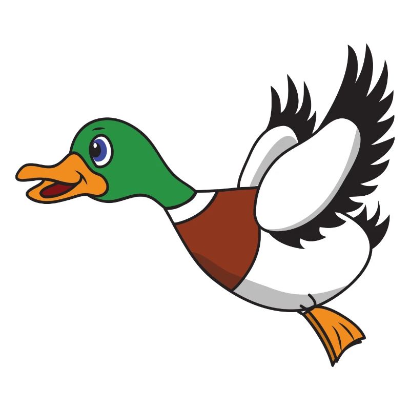 Flying duck
