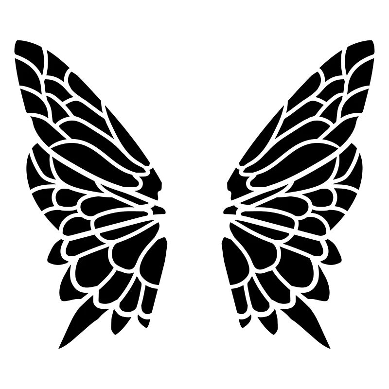 Wing from the butterfly