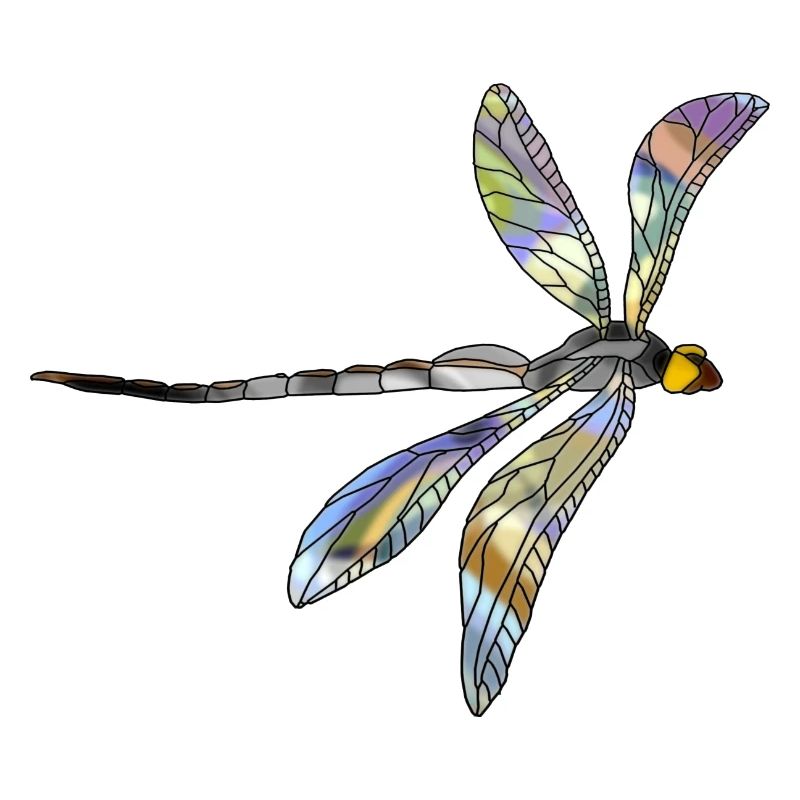 Libellule