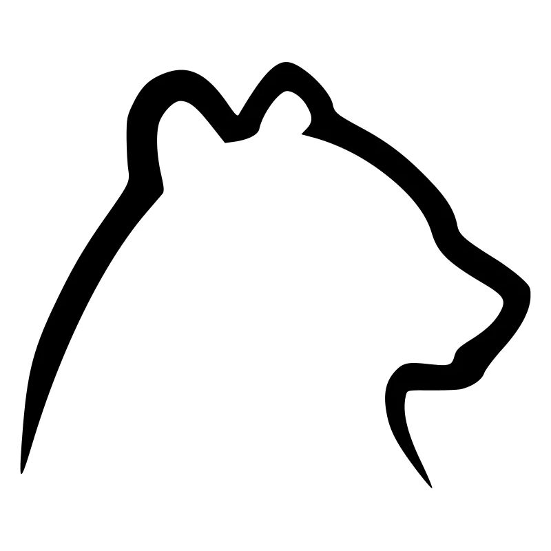 Bär 1