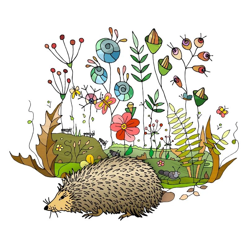 Hedgehog