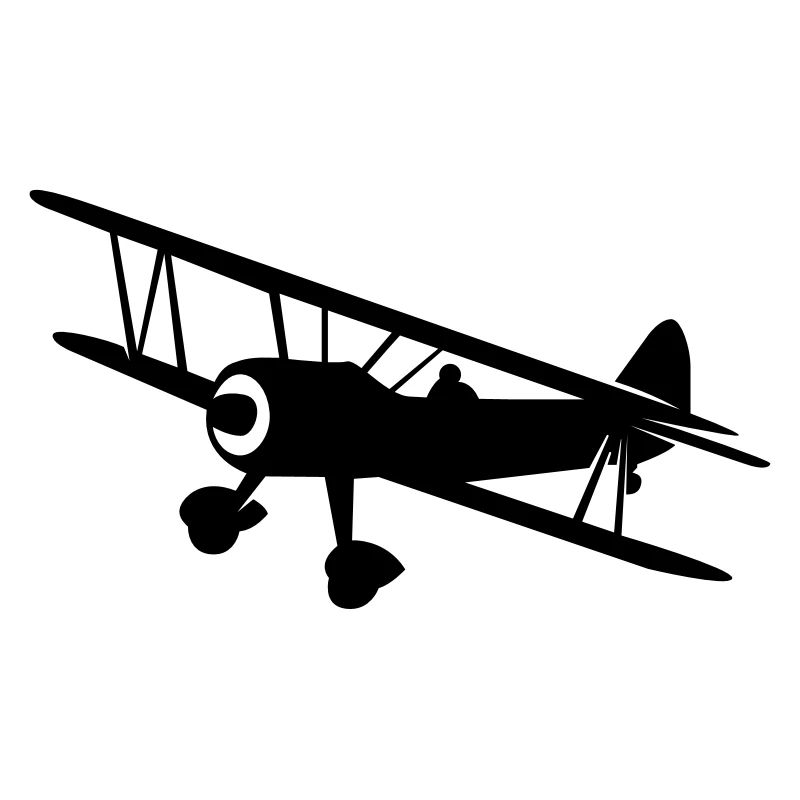 Fly a plane