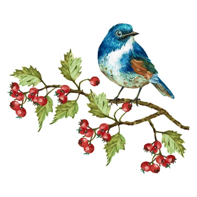 Bunter Vogel