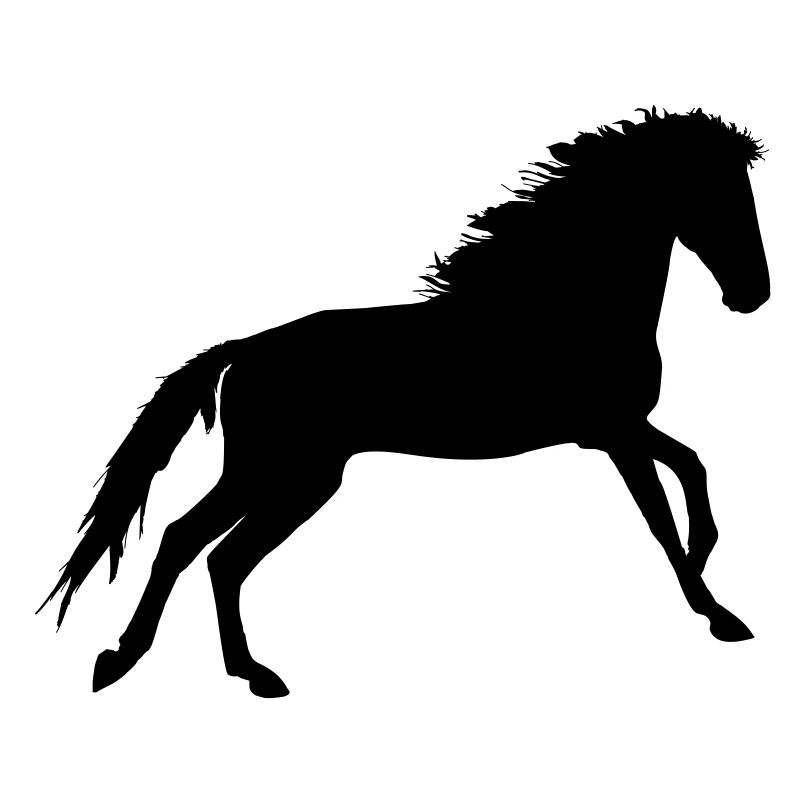 Pferd