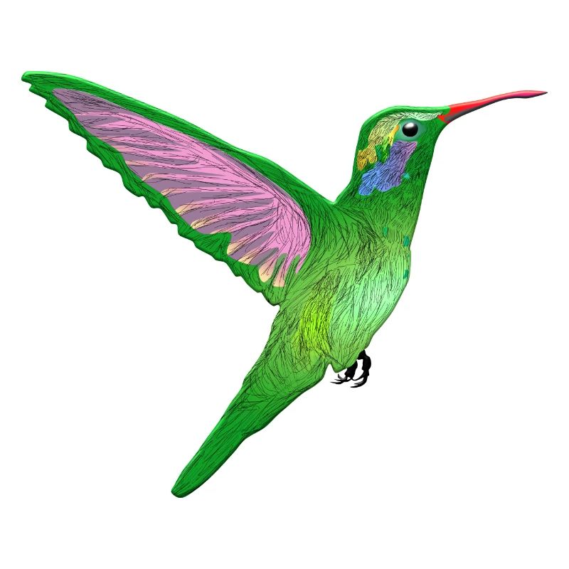 Kolibri