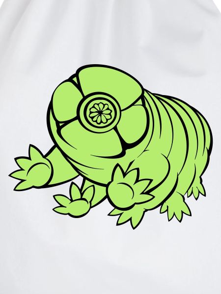 Bärtierchen Tardigrade