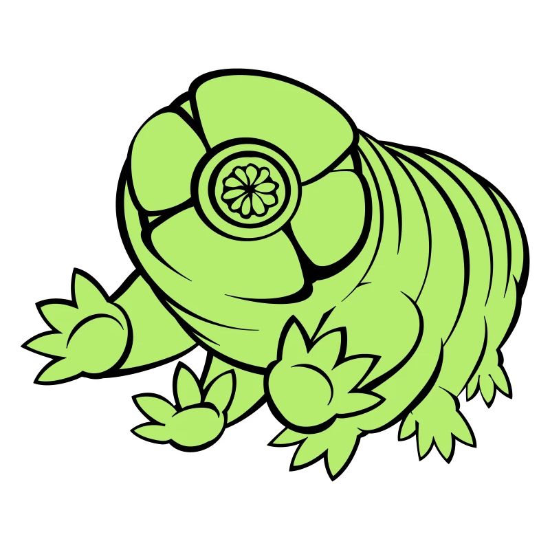 Bärtierchen Tardigrade