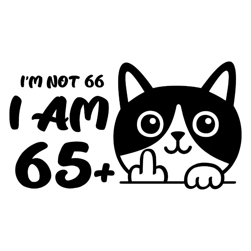 Ich bin nicht 66, ich bin 65 plus 1 Mittelfinger Katze Flip