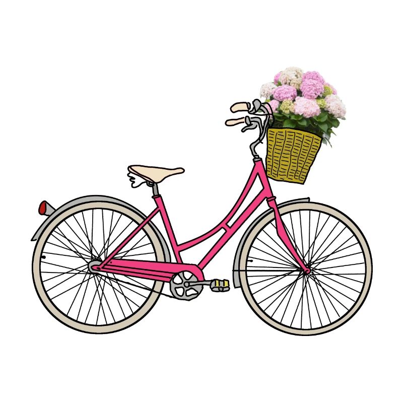 Bicycle with hydrangeas