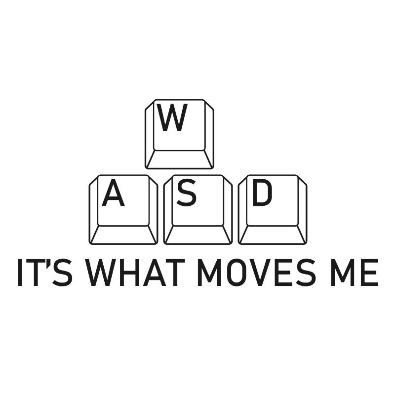 A W S D keyboard.