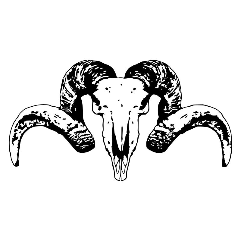 Crâne noir de chèvre 5