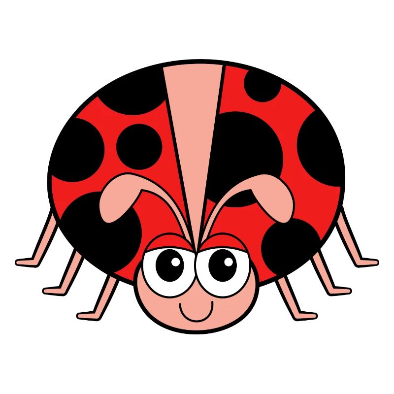 Red Ladybug