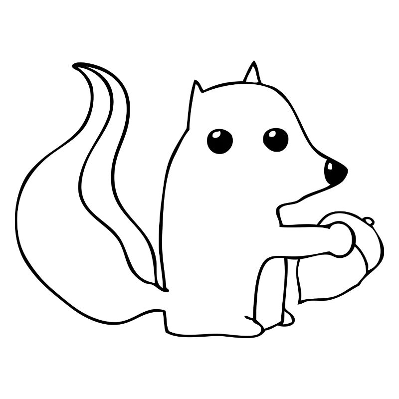 eichhörnchen