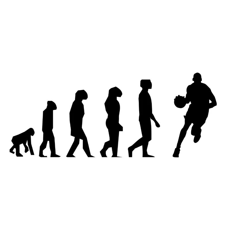 Basketball evolution