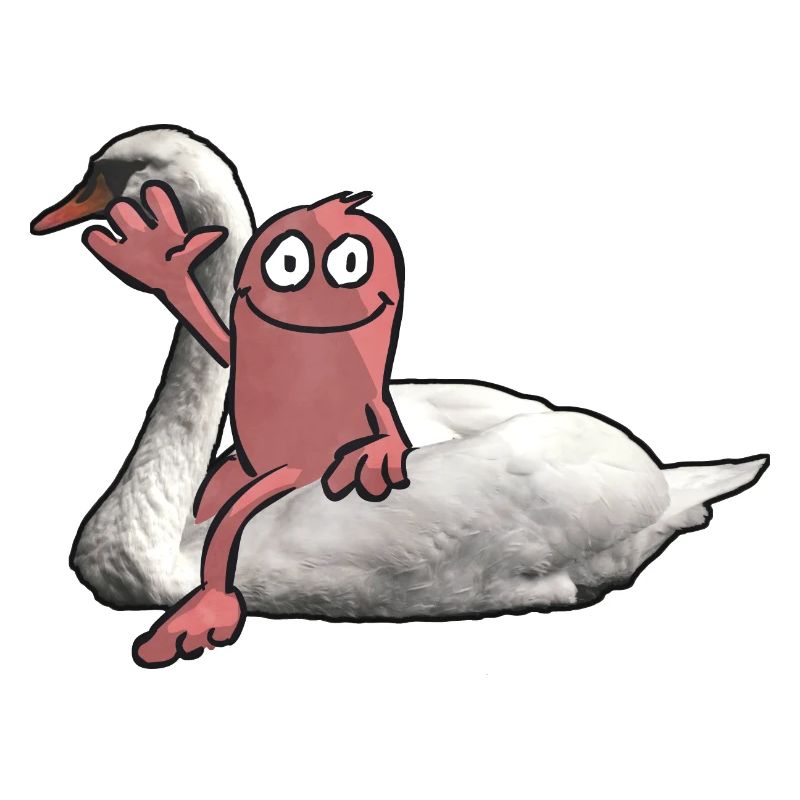 Swan Rider