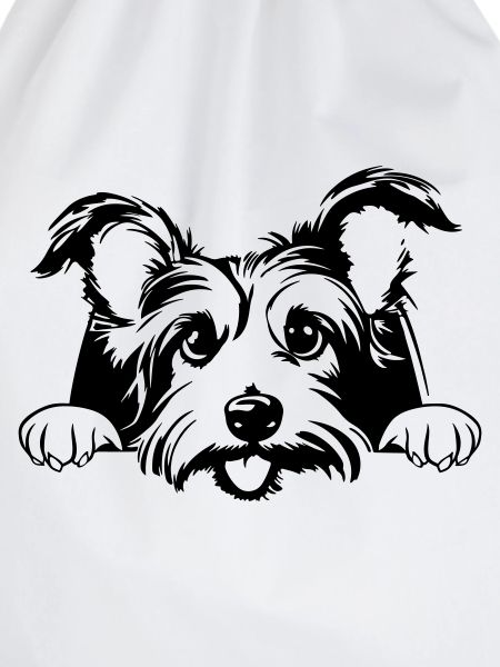 Kleiner Terrier