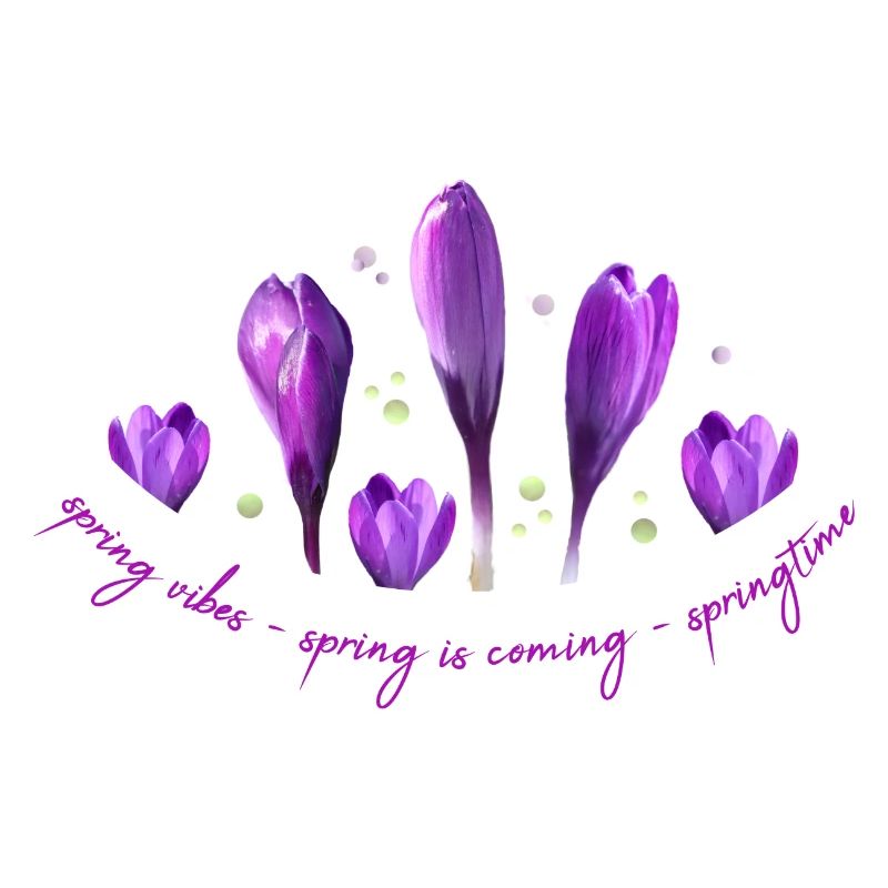 Crocus Printemps