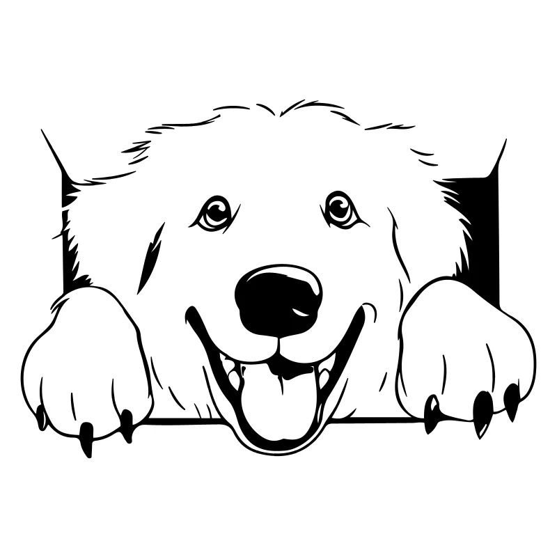 Bouvier des Pyrénées