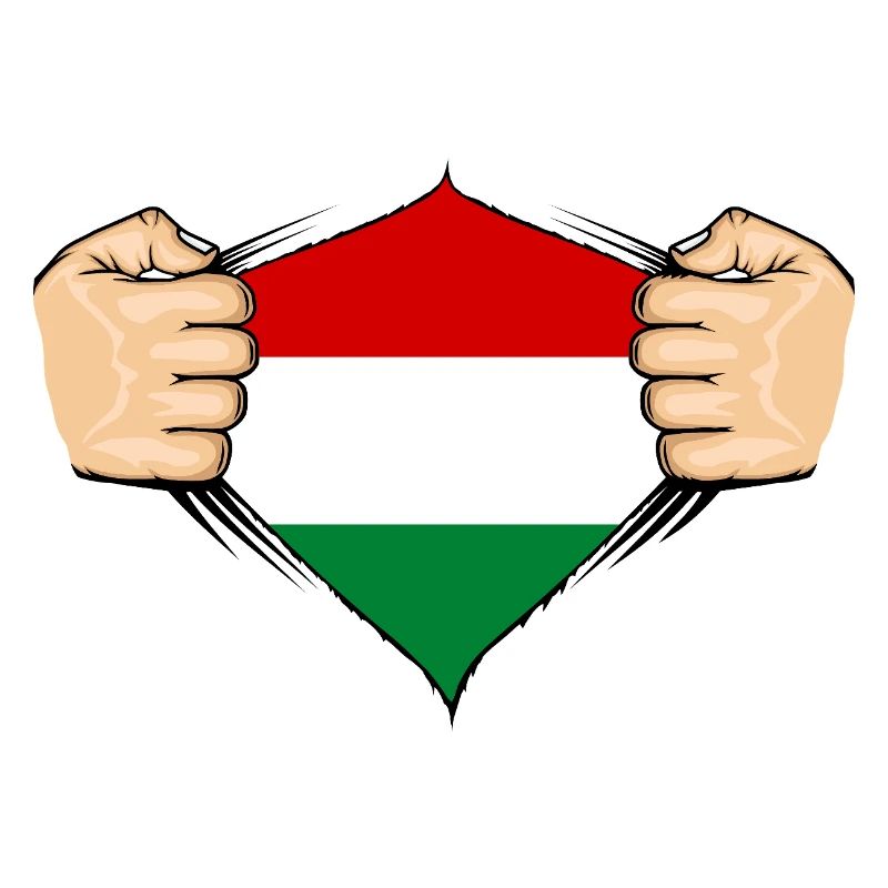 Conception du drapeau de la Hongrie