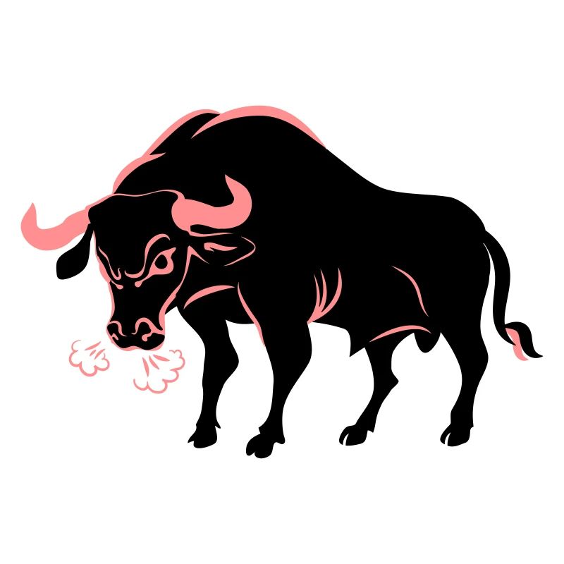 Bull aggressive
