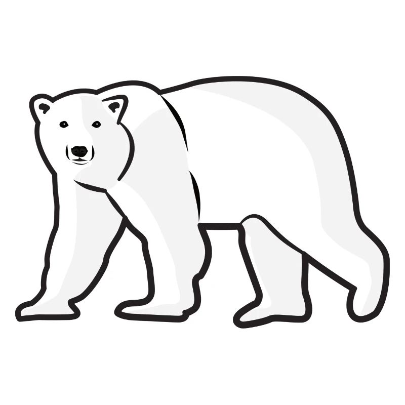 Polar Bear